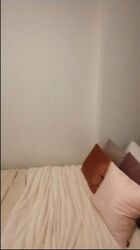 Ferraria Park Condominium (D17), Condominium #497744181